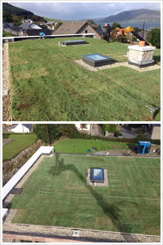 flat green roof